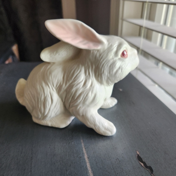 White Rabbit - Picture 3 of 4